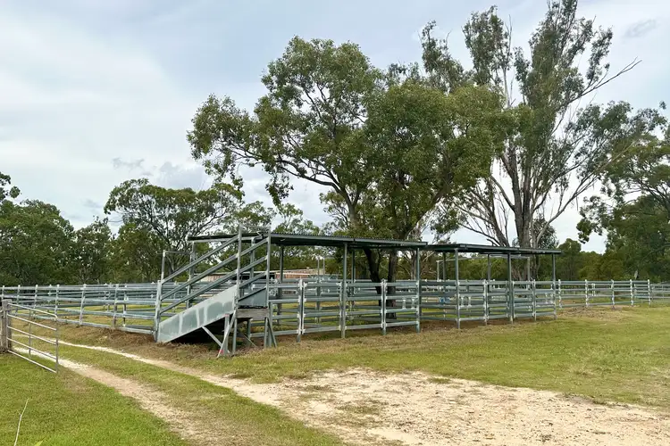 Seventh view of Homely rural property listing, 1101 Willowvale Road, Massie QLD 4370