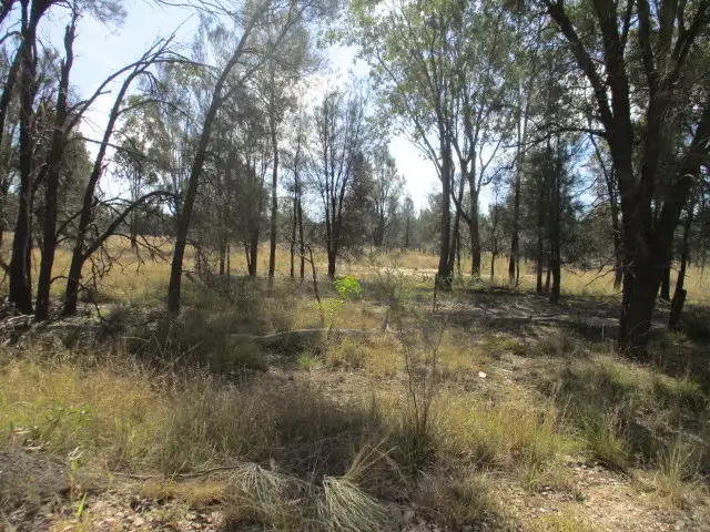 Second view of Homely rural property listing, 9 Tara Kogan Road, Tara QLD 4421