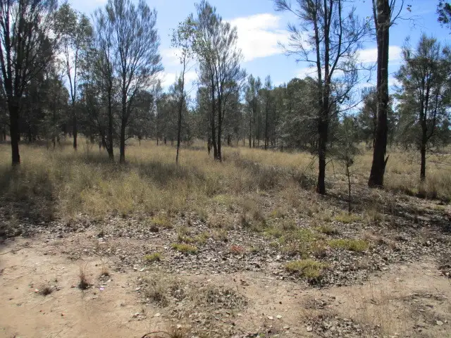 Fourth view of Homely rural property listing, 9 Tara Kogan Road, Tara QLD 4421