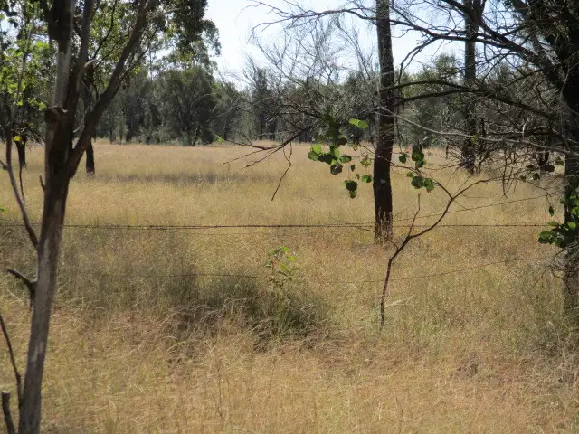 Fifth view of Homely rural property listing, 9 Tara Kogan Road, Tara QLD 4421