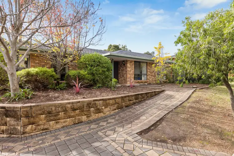 Main view of Homely house listing, 10 Julie Court, Newton SA 5074