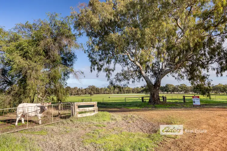 Sixth view of Homely rural property listing, 196 Jamieson Road, Capel WA 6271