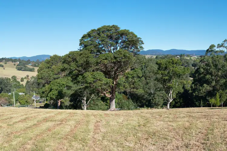 Main view of Homely land listing, 13-17 Doomben Court, Beechmont QLD 4211