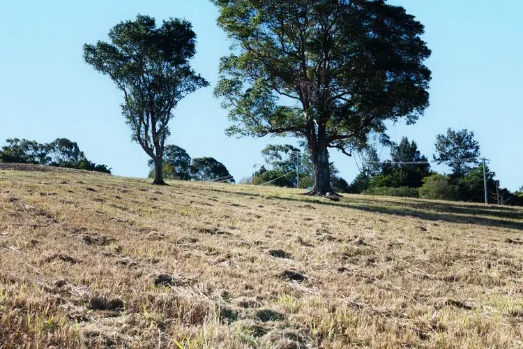 Fourth view of Homely land listing, 13-17 Doomben Court, Beechmont QLD 4211