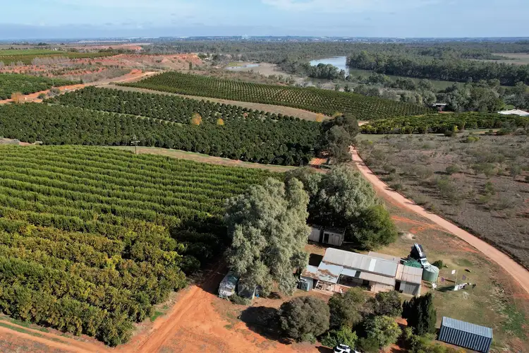 Sixth view of Homely rural property listing, 775 Murtho Road, Paringa SA 5340