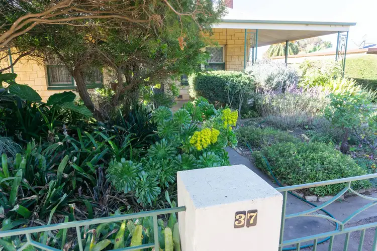 Third view of Homely house listing, 37 West Terrace, Cleve SA 5640