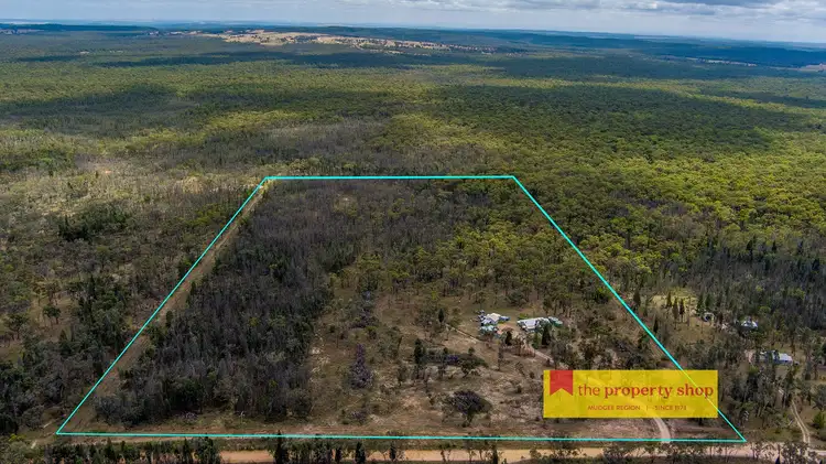 Main view of Homely rural property listing, 363 Springwood Park Road, Gulgong NSW 2852