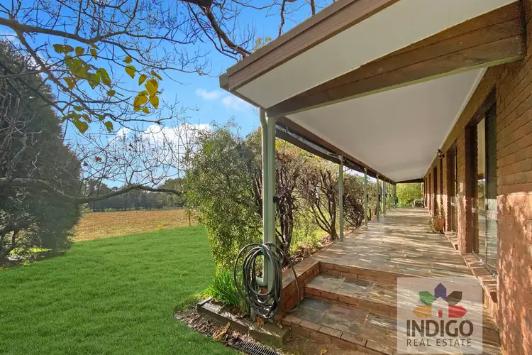 Second view of Homely house listing, 262 Star Lane, Wooragee VIC 3747