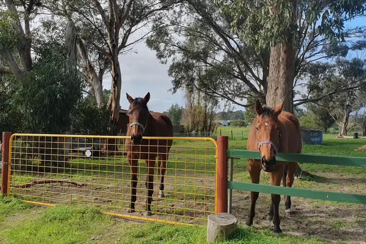 103 Brentwood Road, Kenwick WA 6107