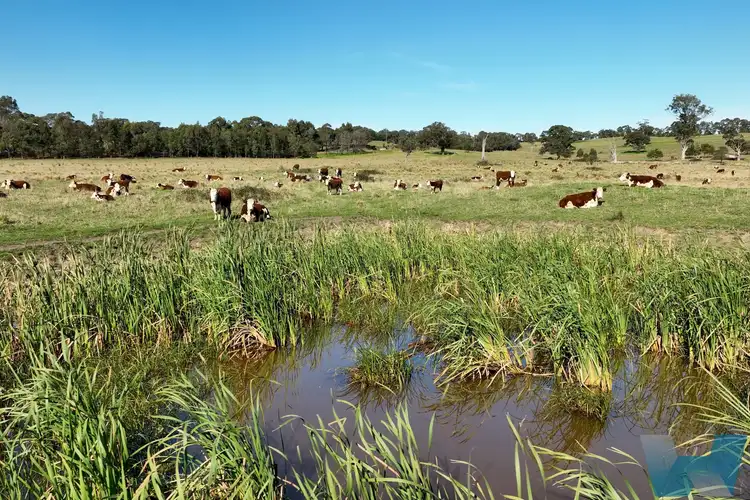 Fifth view of Homely rural property listing, 364 Metung Road, Metung VIC 3904