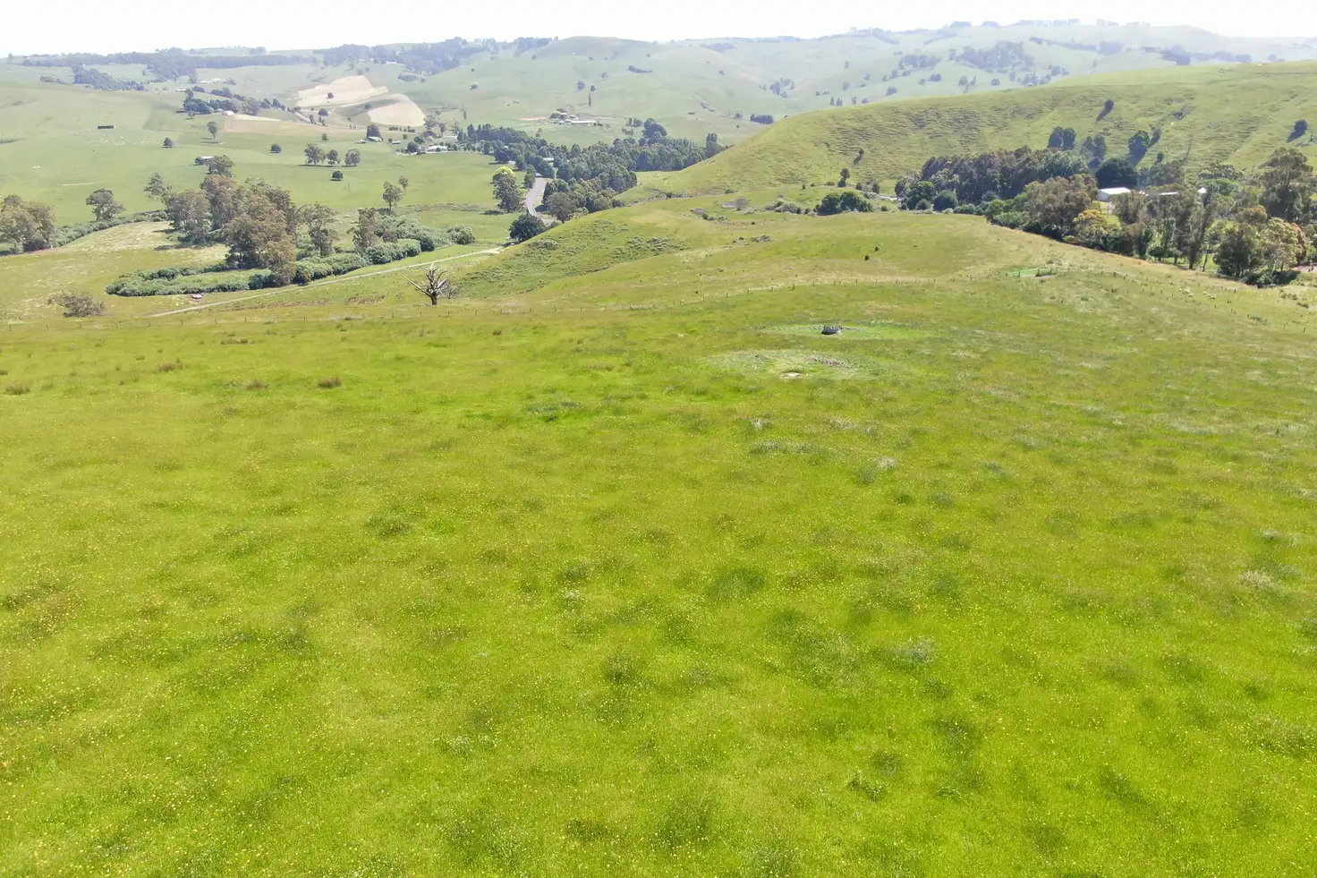 Main view of Homely rural property listing, 218 Mount Eccles Road, Mount Eccles VIC 3953