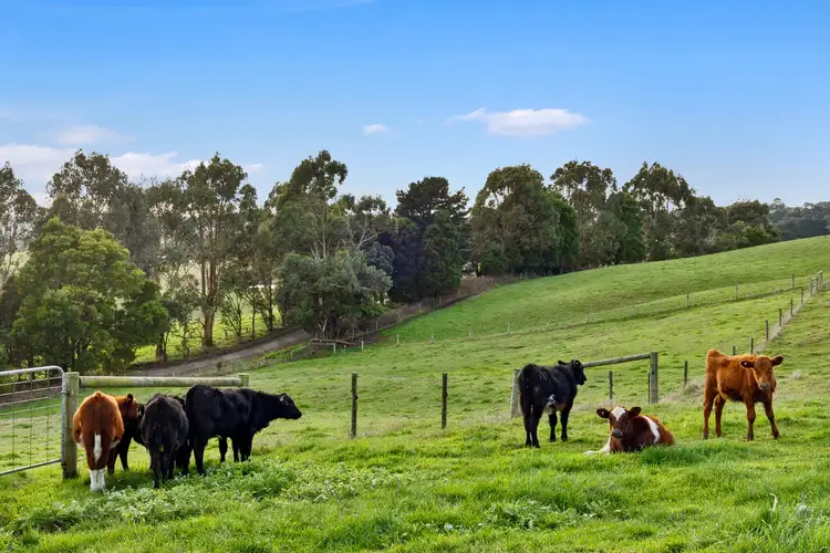 Fourth view of Homely rural property listing, 125 Henrys Lane, Korumburra VIC 3950