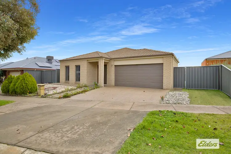 Main view of Homely house listing, 7 Silky Oak Avenue, Wodonga VIC 3690