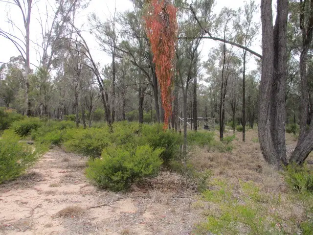Fifth view of Homely rural property listing, 3 Crosbies Road, Tara QLD 4421