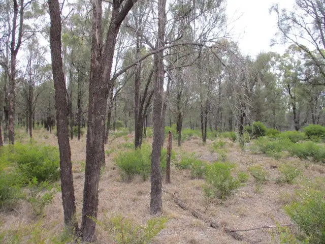 Sixth view of Homely rural property listing, 3 Crosbies Road, Tara QLD 4421