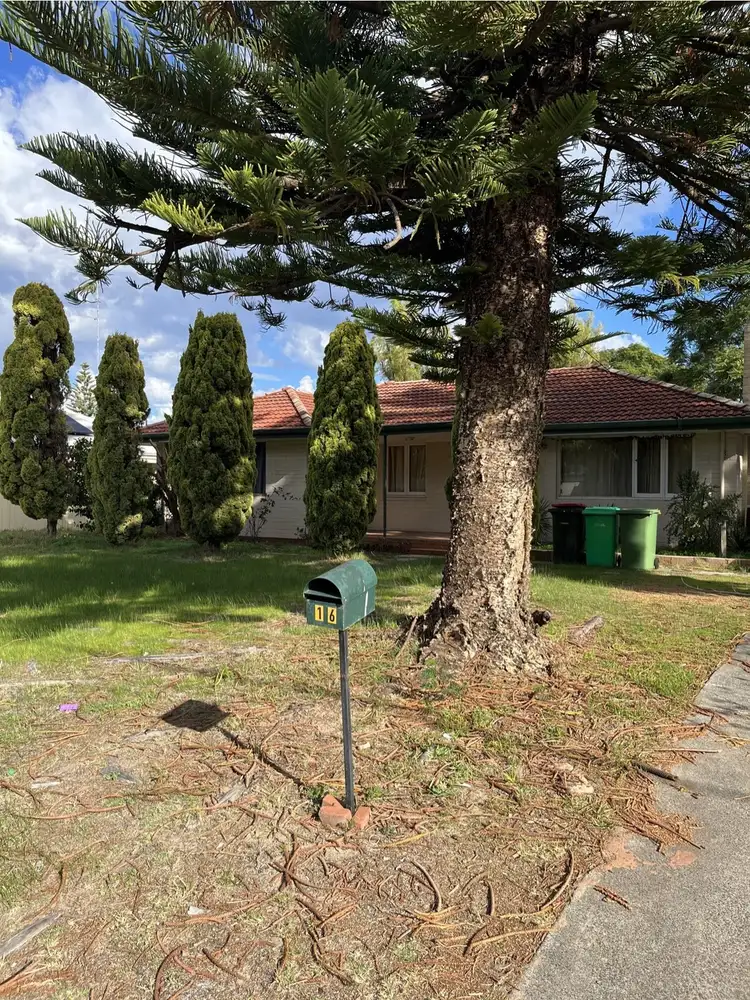 Third view of Homely house listing, 16 Kestral Street, Withers WA 6230