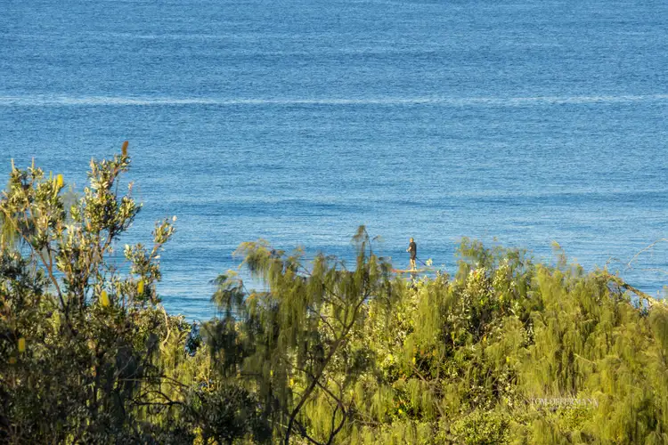 Fourth view of Homely house listing, 22 Peregian Esplanade, Peregian Beach QLD 4573