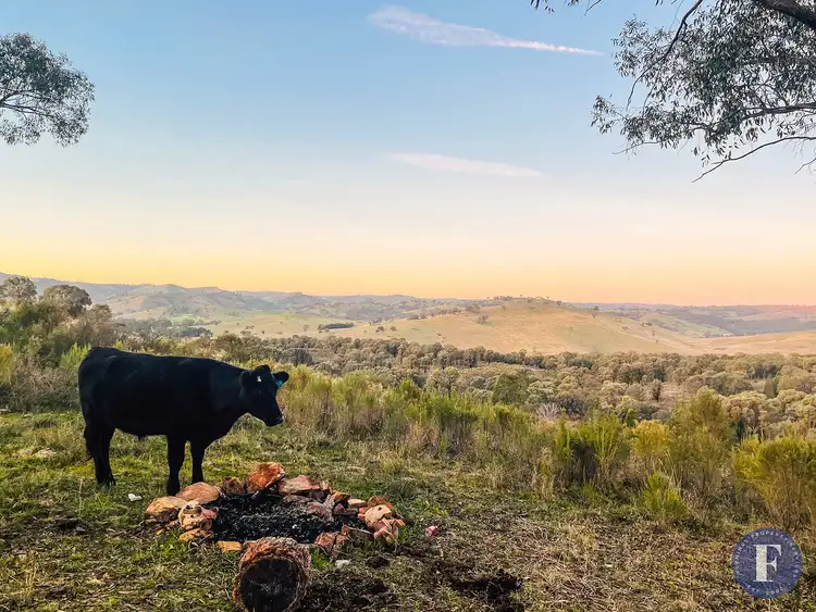 Second view of Homely rural property listing, 2587 Taylors Flat Road, Taylors Flat NSW 2586