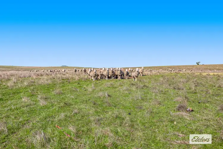 Seventh view of Homely rural property listing, LOT 4A1 Wills Hill Road, Moyston VIC 3377
