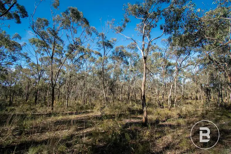 Second view of Homely land listing, 45 Lyle Lead Rd Moonlight Flat Via, Maryborough VIC 3465