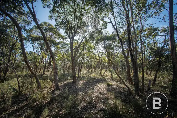 Third view of Homely land listing, 45 Lyle Lead Rd Moonlight Flat Via, Maryborough VIC 3465
