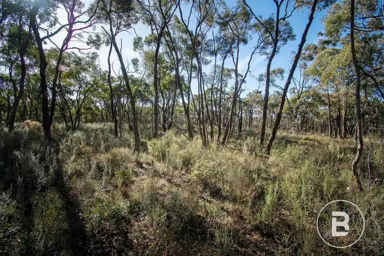 Fifth view of Homely land listing, 45 Lyle Lead Rd Moonlight Flat Via, Maryborough VIC 3465