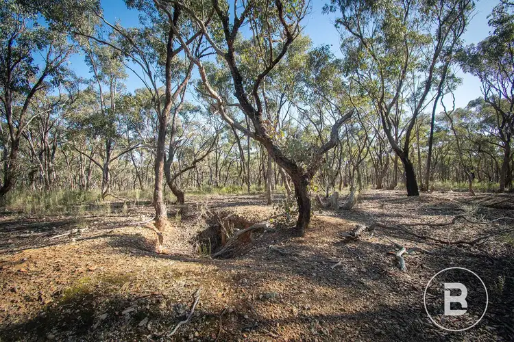 268 Moonlight Rd - Moonlight Flat, Maryborough VIC 3465
