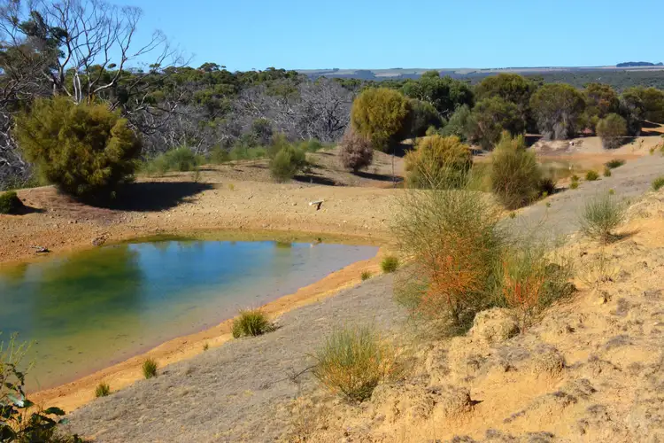 Fifth view of Homely rural property listing, Lot 108 Investigator Way, De Mole River SA 5223