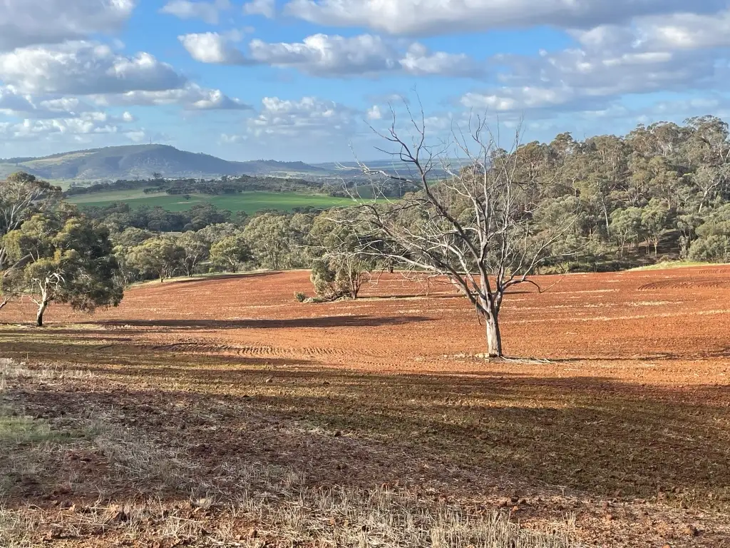 Main view of Homely rural property listing, 3967 Great Southern Highway, Daliak WA 6302