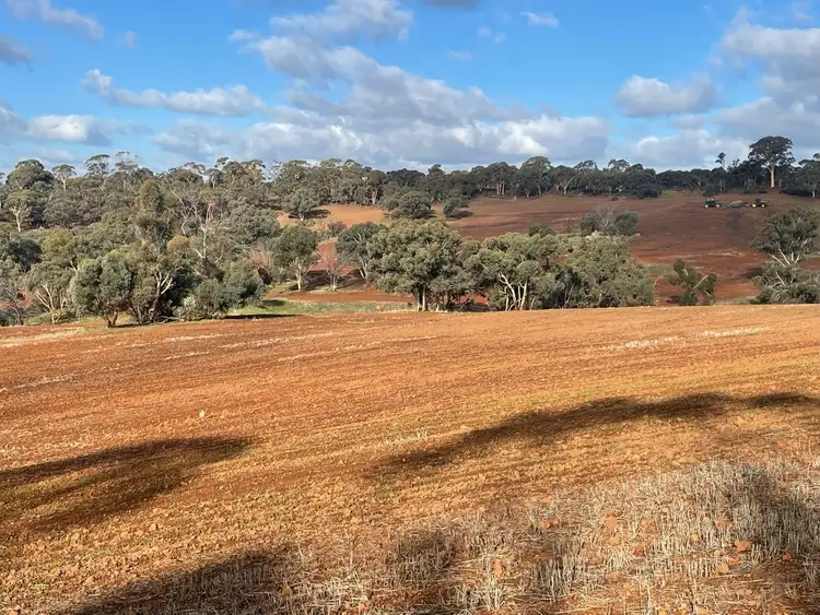 Seventh view of Homely rural property listing, 3967 Great Southern Highway, Daliak WA 6302