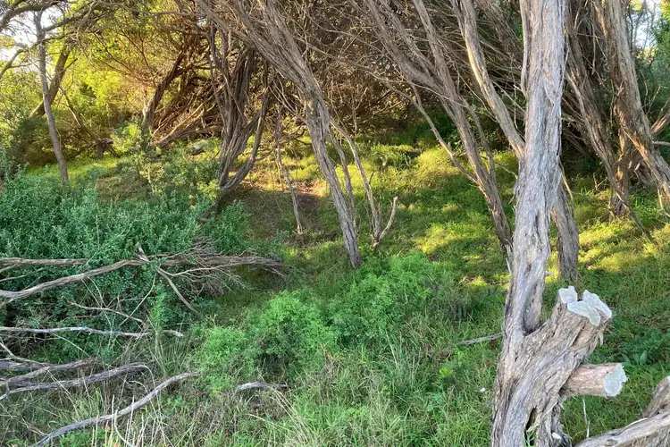 Third view of Homely land listing, 6 Juno Road, Venus Bay VIC 3956