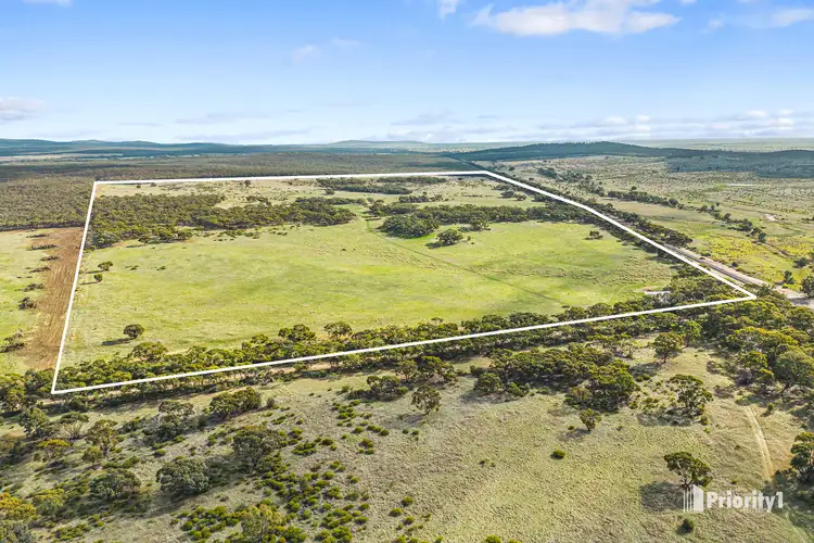 Main view of Homely rural property listing, 84A Woolshed Flat Road, Wychitella VIC 3525