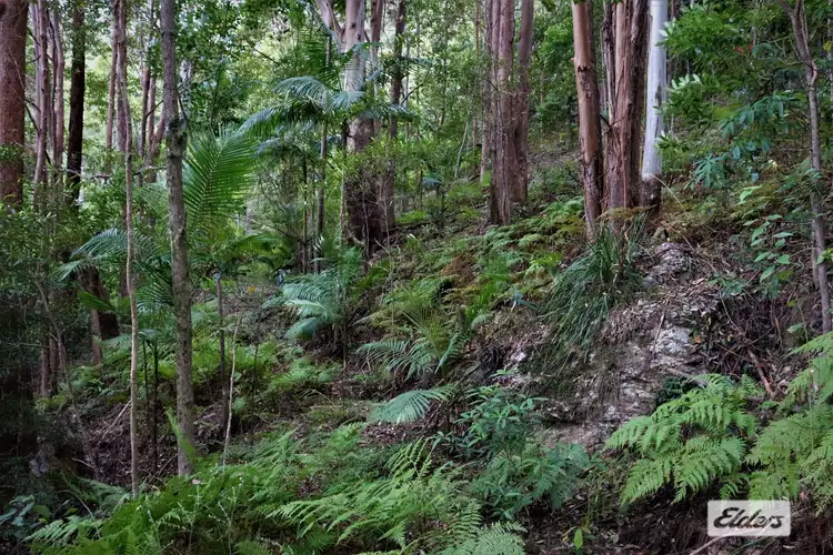 Third view of Homely rural property listing, Lot 1 Pine Log Road, Doon Doon NSW 2484