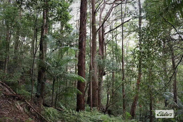 Fourth view of Homely rural property listing, Lot 1 Pine Log Road, Doon Doon NSW 2484