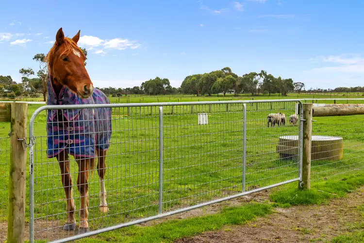 Fourth view of Homely rural property listing, 205 Bass Road, Bass VIC 3991