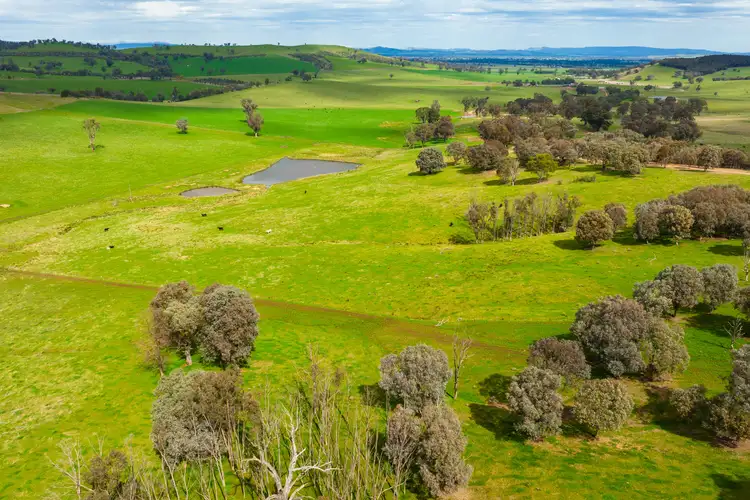 Sixth view of Homely rural property listing, STONEHAVEN | 269 Stonehaven Road, Holbrook NSW 2644