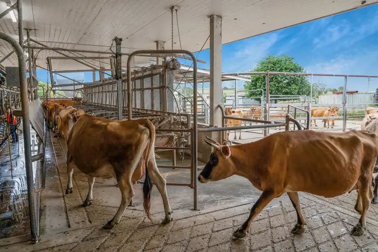Sixth view of Homely rural property listing, 143 Ashton Road, Gilldora QLD 4570