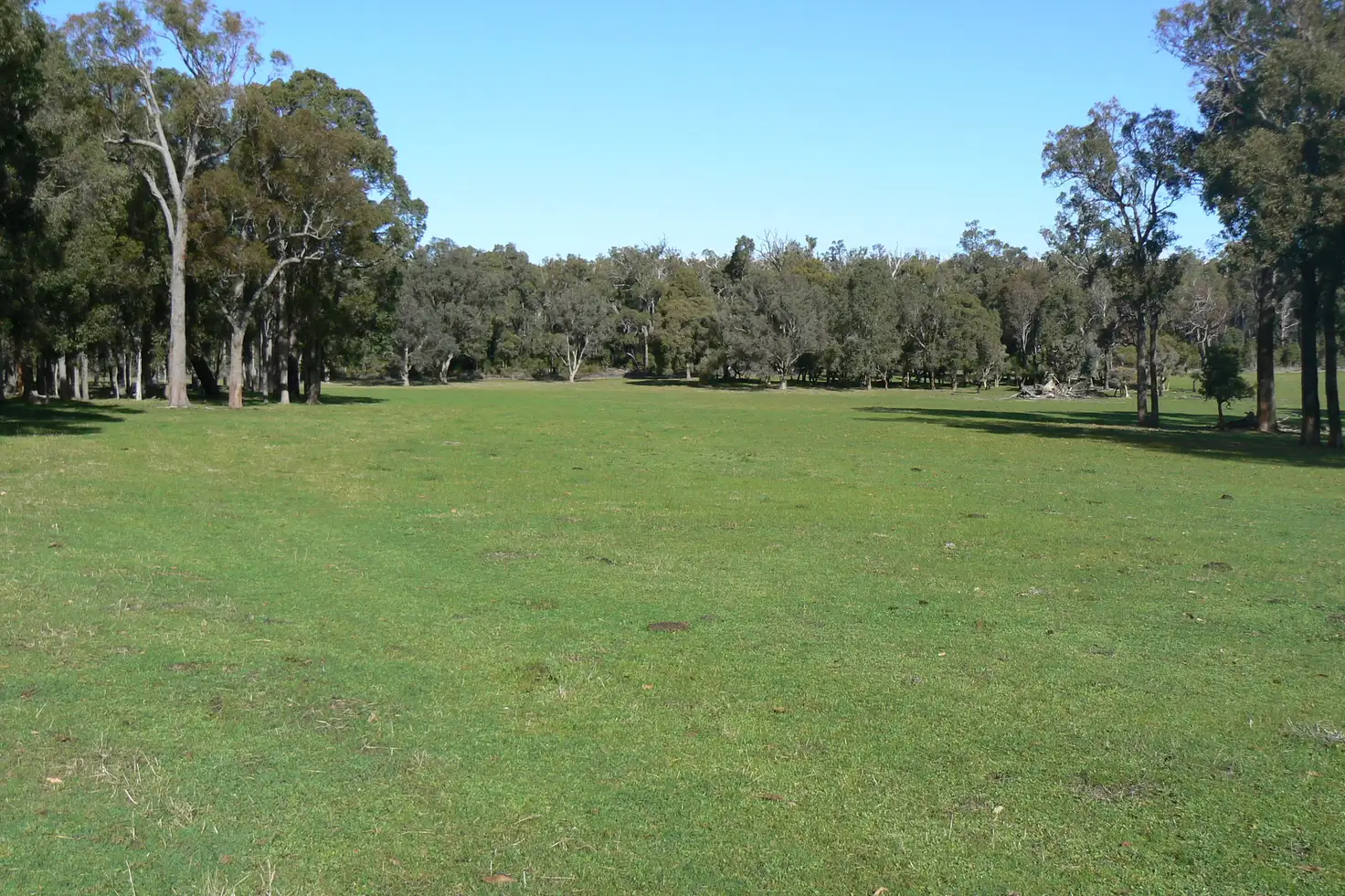Main view of Homely rural property listing, 285 Hart Road, Cardiff WA 6225