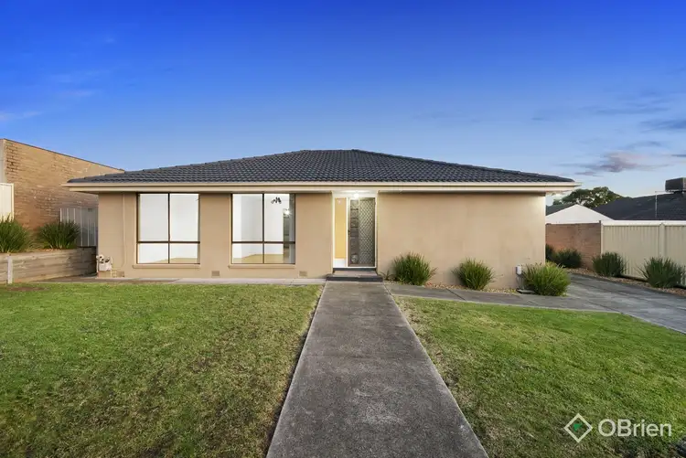 Main view of Homely house listing, 13 Manley Close, Endeavour Hills VIC 3802