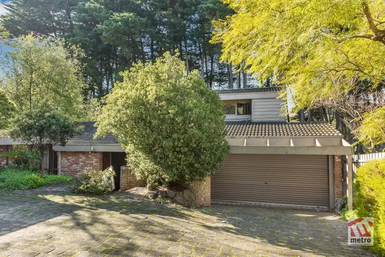 Second view of Homely house listing, 2/87 Essex Road, Surrey Hills VIC 3127
