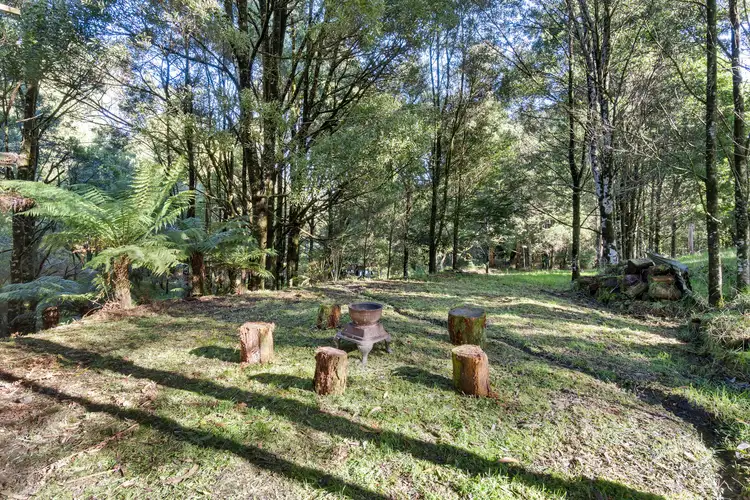 Main view of Homely rural property listing, 30 Dehnerts Track, Beech Forest VIC 3237