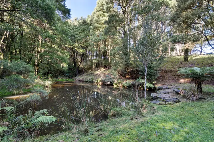 Third view of Homely rural property listing, 30 Dehnerts Track, Beech Forest VIC 3237