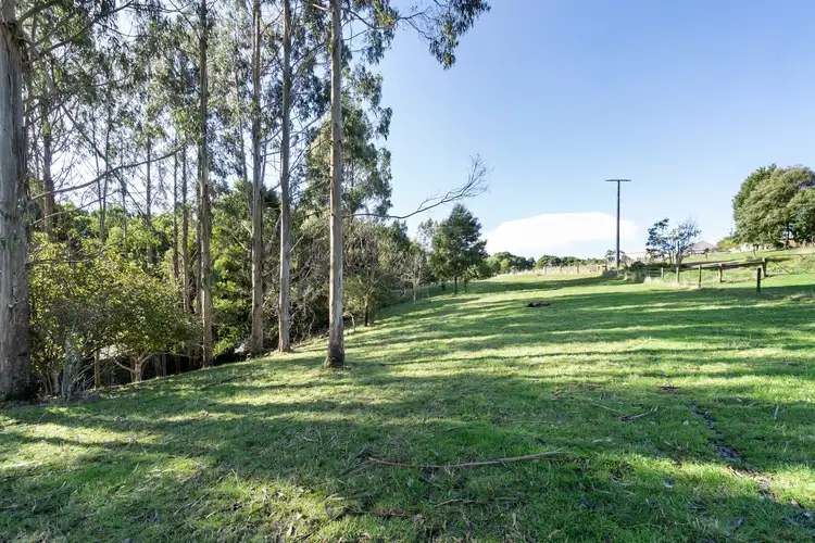 Seventh view of Homely rural property listing, 30 Dehnerts Track, Beech Forest VIC 3237