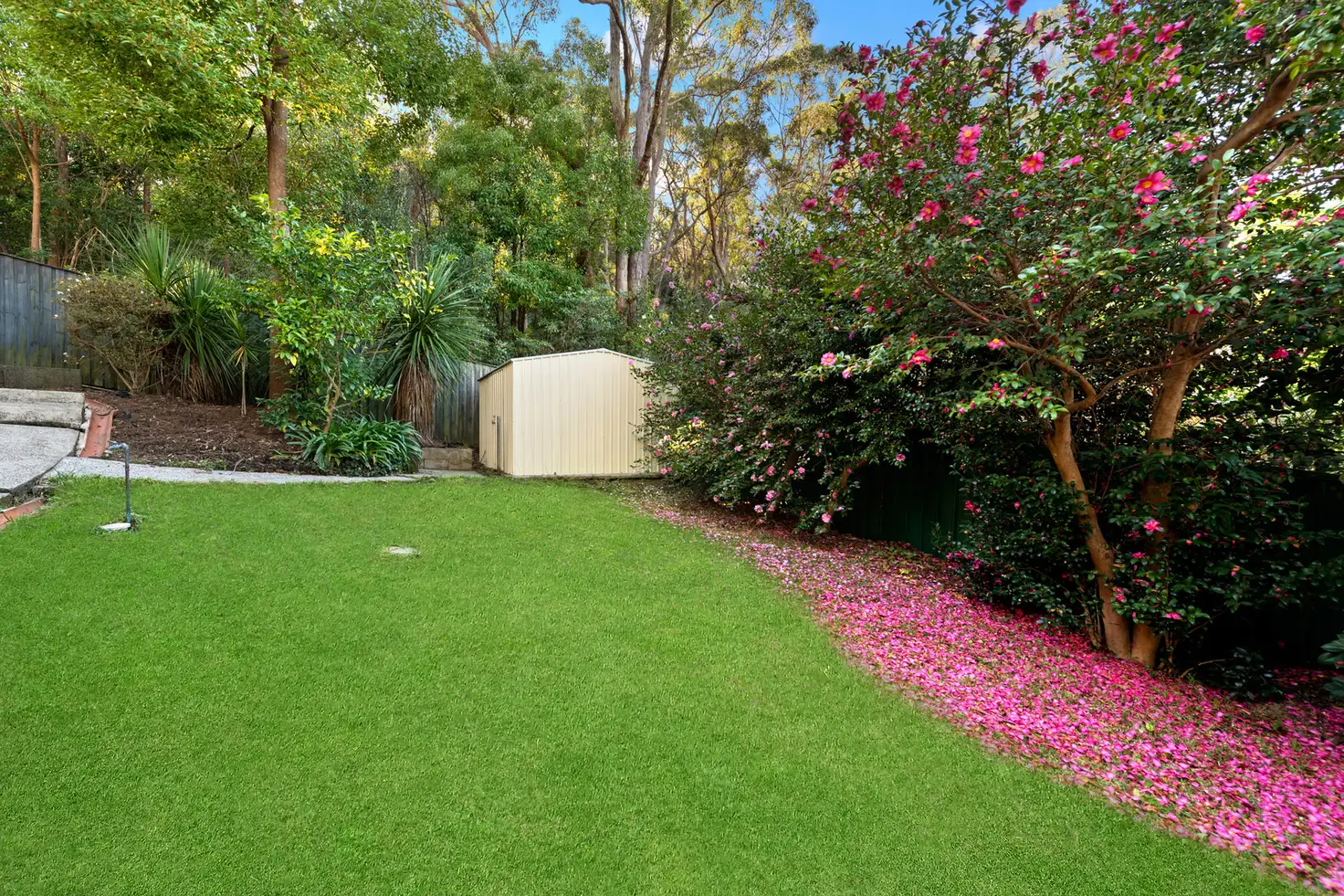 Main view of Homely house listing, 18 Tarro Close, Hornsby NSW 2077