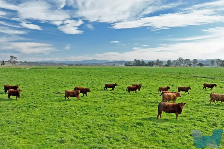 Second view of Homely rural property listing, 135 Woodglen Road, Woodglen VIC 3875