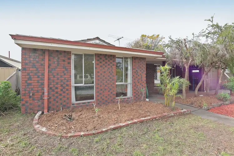 Second view of Homely house listing, 19 Hibiscus Road, Maddington WA 6109