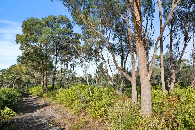 Fifth view of Homely land listing, Wattle Road, Dodges Ferry TAS 7173