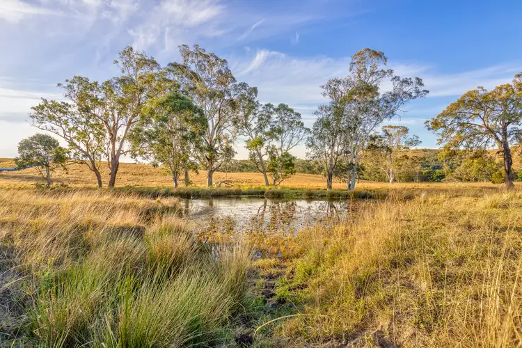 Third view of Homely rural property listing, Lot 12 Henneys Road, Dungog NSW 2420