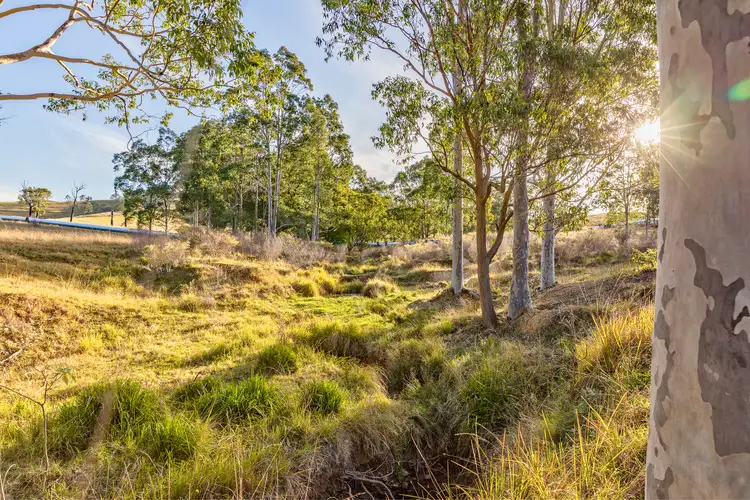 Fourth view of Homely rural property listing, Lot 12 Henneys Road, Dungog NSW 2420