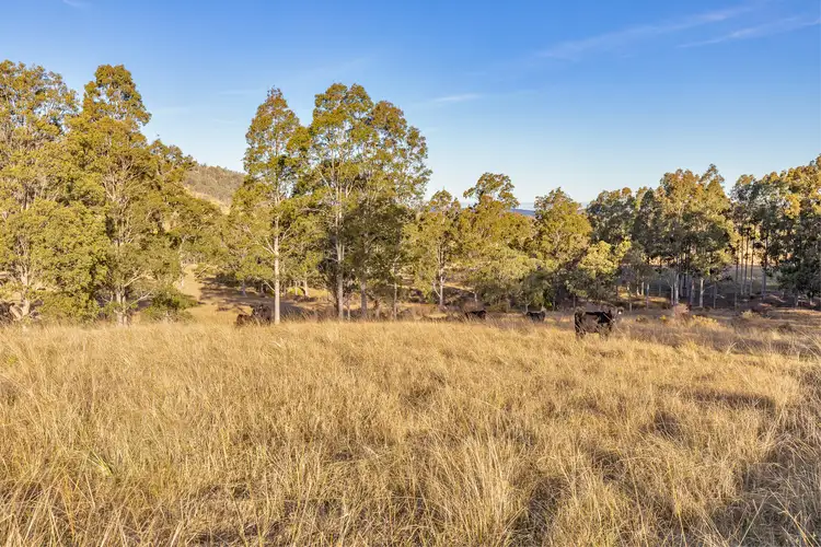 Seventh view of Homely rural property listing, Lot 12 Henneys Road, Dungog NSW 2420